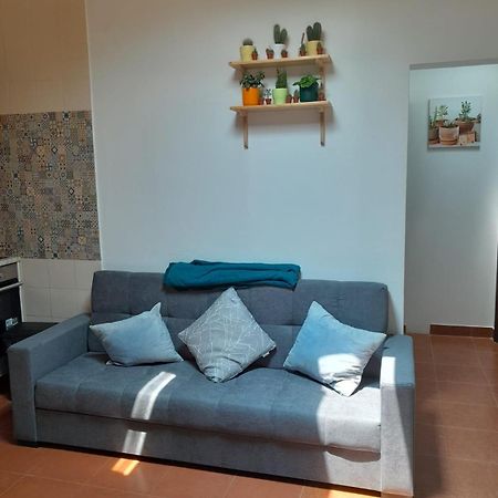 Nadadouro Eco-Country-Cottage Exteriör bild