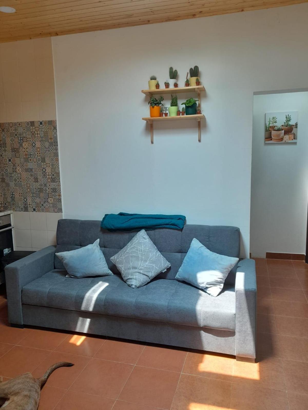 Nadadouro Eco-Country-Cottage Exteriör bild